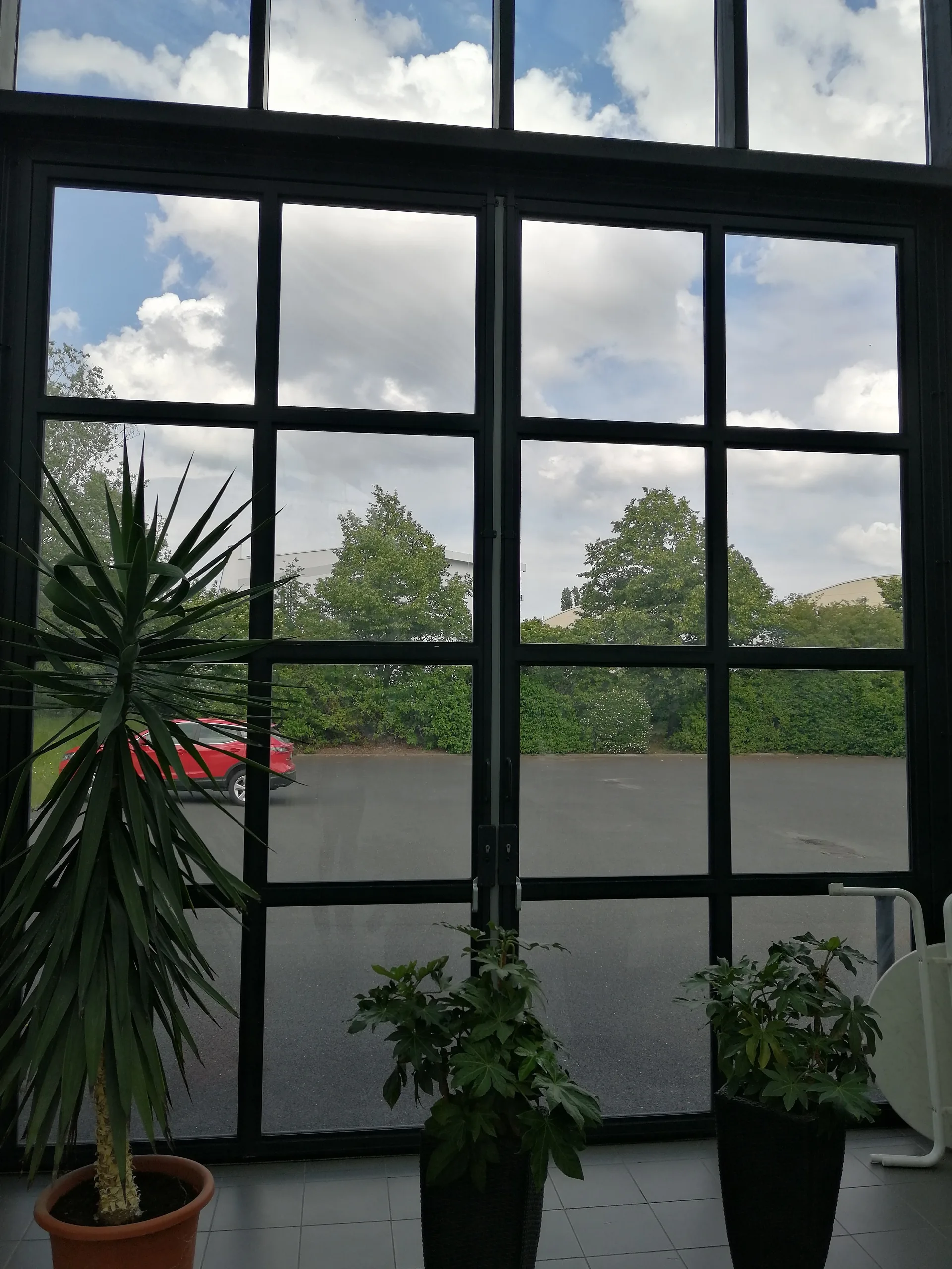 Flügeltor mit Glas, von innen